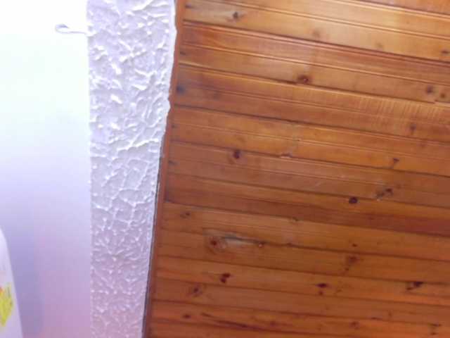 kiara-evanss live cam