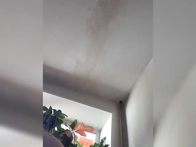 LinNatty