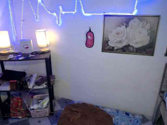 WildflowerTS69
