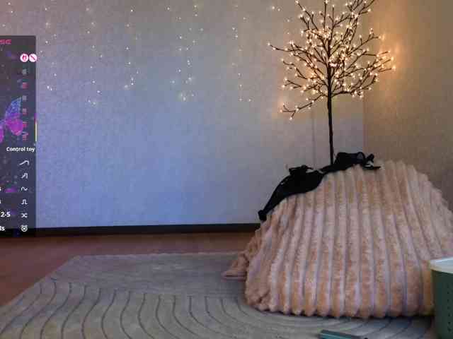 LALI_XS webcam