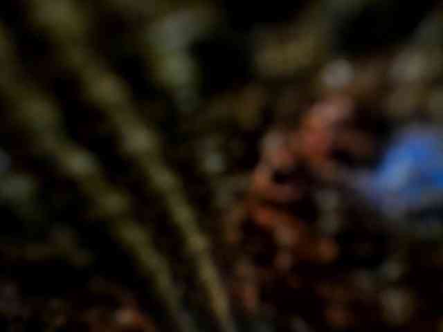 samantha-mature- samantha-mature-