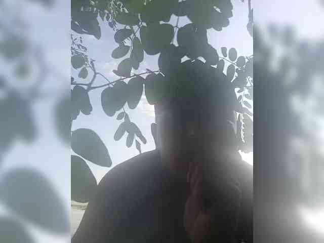 Dinasucka
