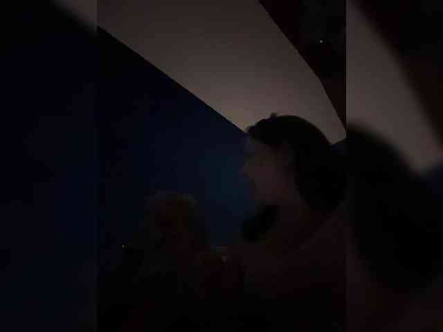 Tiger_07 webcam
