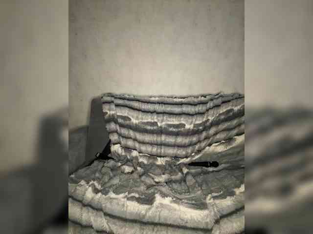 Tiger_07 webcam