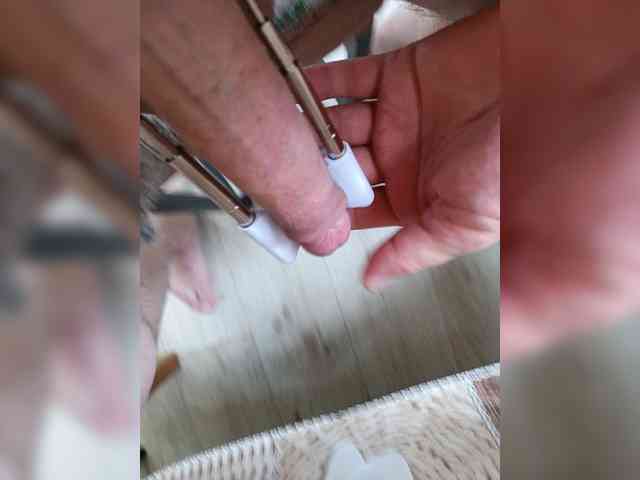 Brodaga17