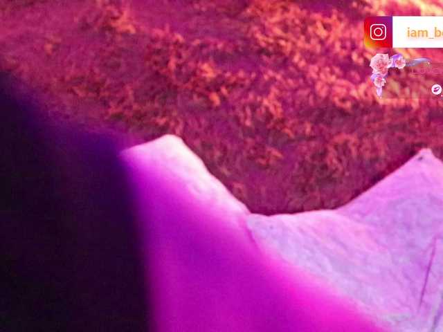 Yourtoybella live cam on BongaCams