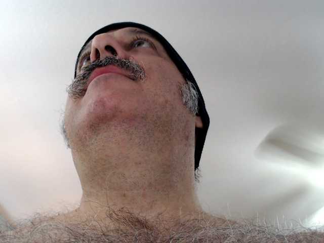 bullmusclejoe