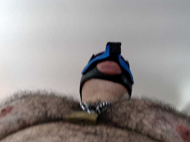 bullmusclejoe