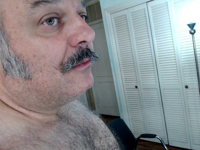 bullmusclejoe
