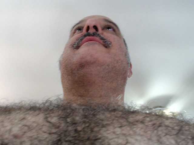 bullmusclejoe