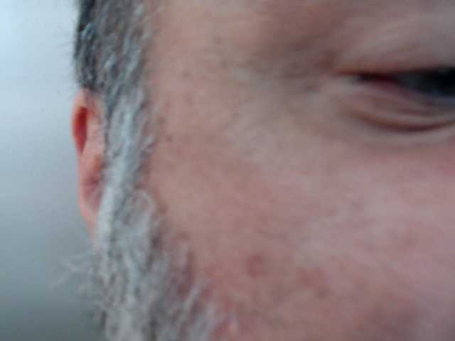 bullmusclejoe