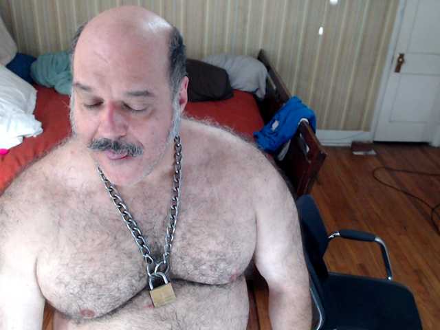 bullmusclejoe