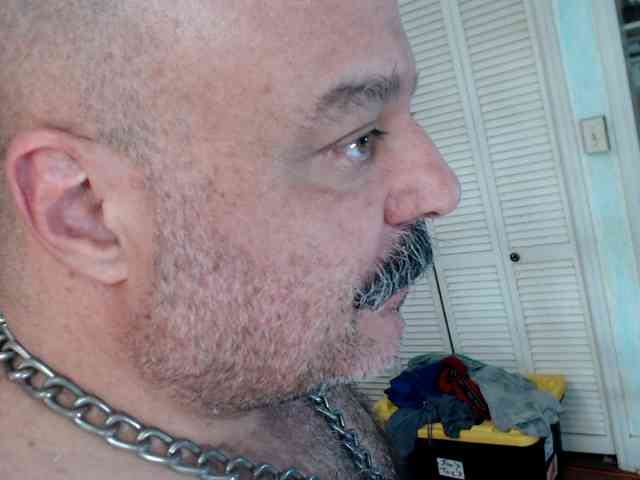bullmusclejoe