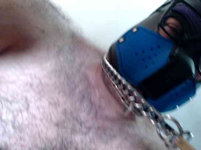 bullmusclejoe