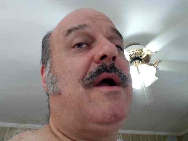 bullmusclejoe