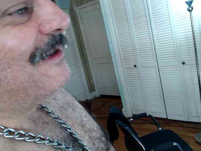 bullmusclejoe