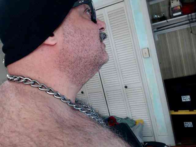 bullmusclejoe