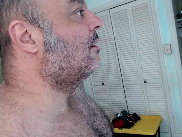bullmusclejoe bullmusclejoe