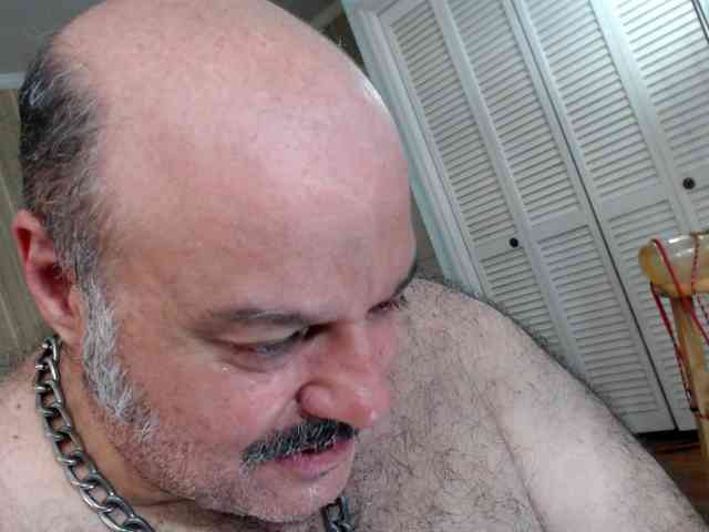 bullmusclejoe