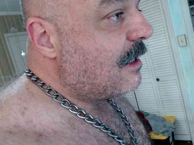 bullmusclejoe