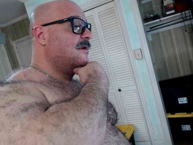 bullmusclejoe