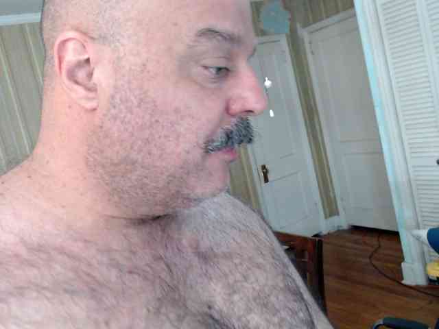 bullmusclejoe