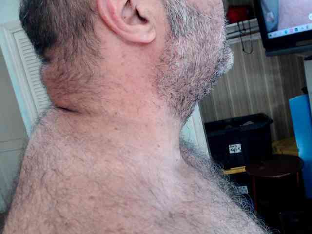 bullmusclejoe