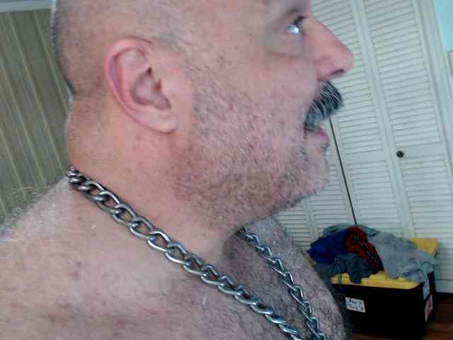 bullmusclejoe