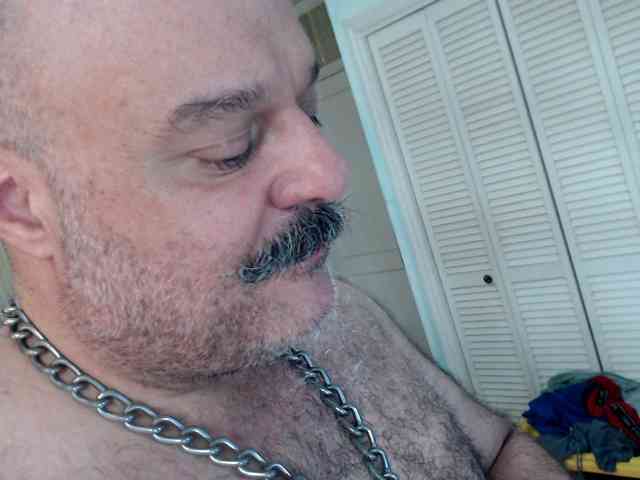 bullmusclejoe