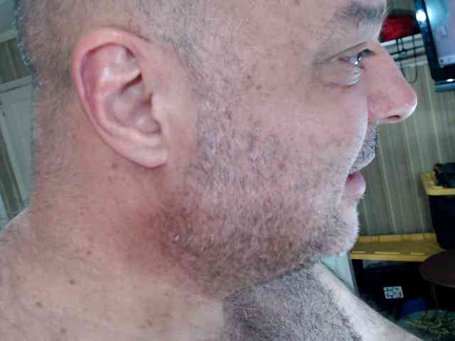 bullmusclejoe bullmusclejoe