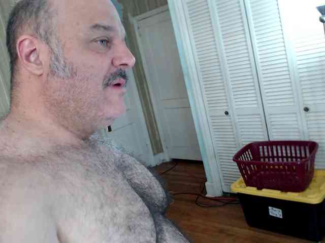 bullmusclejoe bullmusclejoe