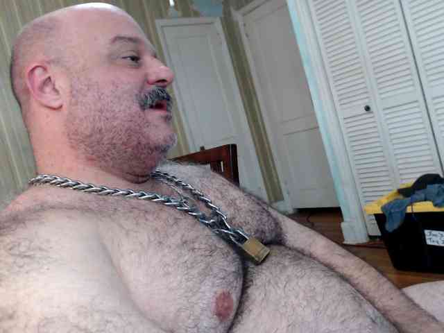 bullmusclejoe