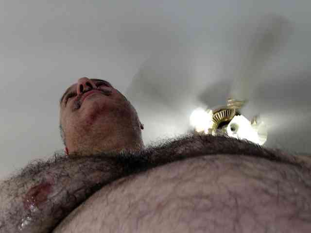 bullmusclejoe