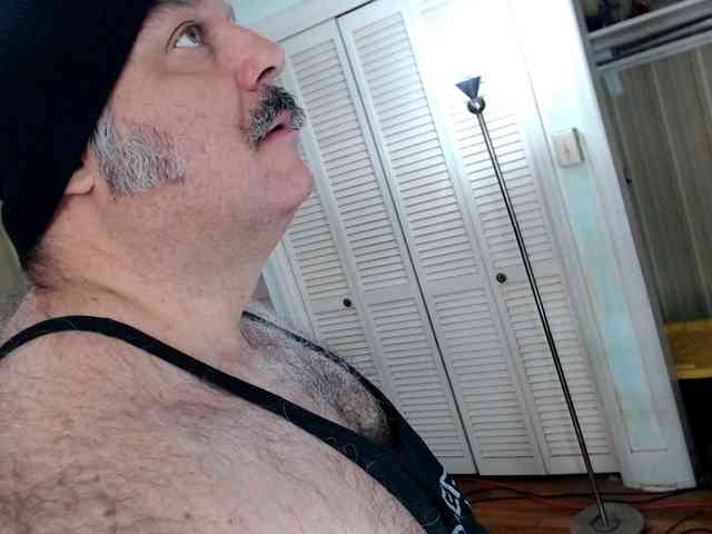 bullmusclejoe bullmusclejoe