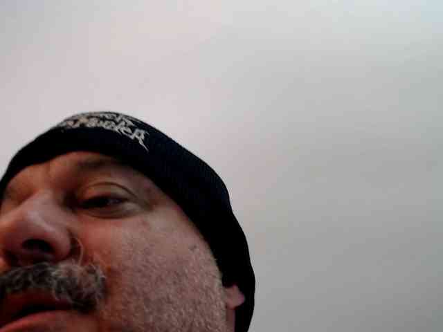 bullmusclejoe