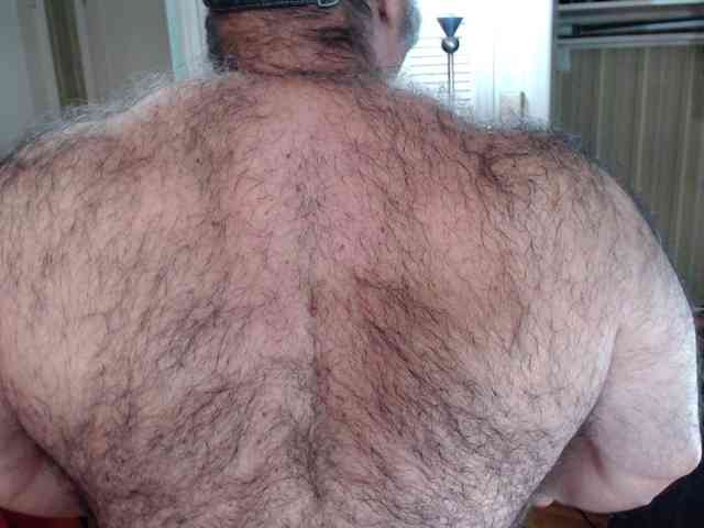 bullmusclejoe