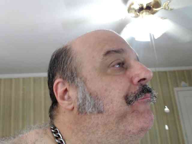 bullmusclejoe