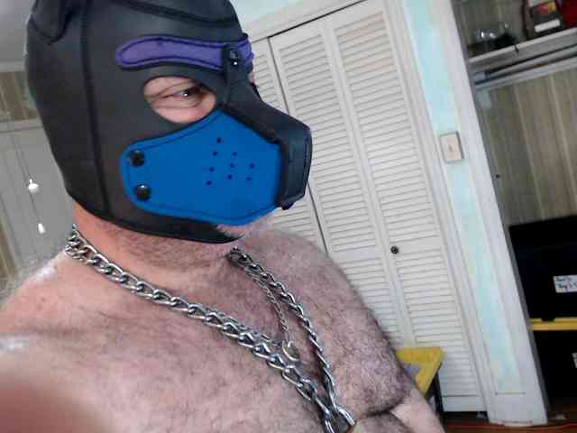 bullmusclejoe