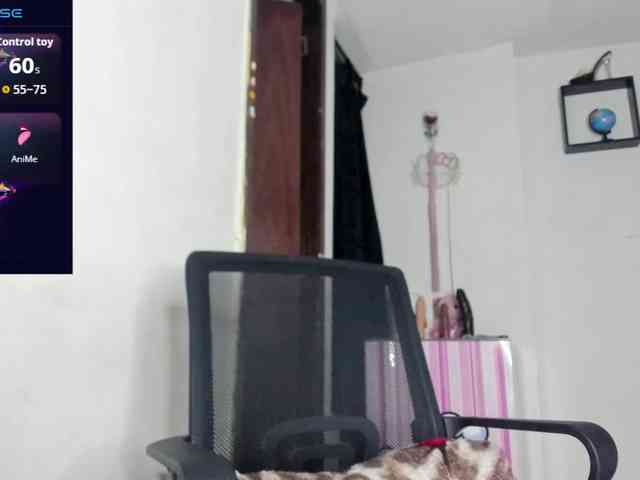 BrownieWithMilk webcam