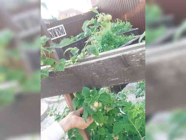 Daikiri17 webcam