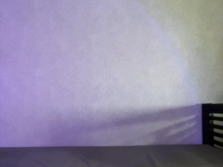 pollysunny