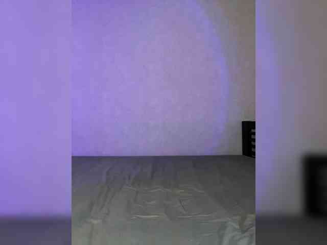 pollysunny webcam