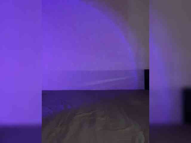 pollysunny webcam