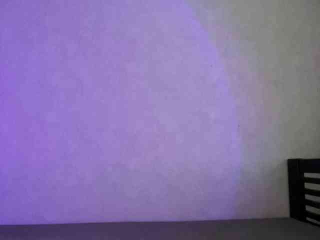 pollysunny webcam