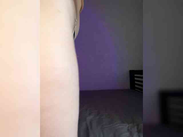 pollysunny webcam
