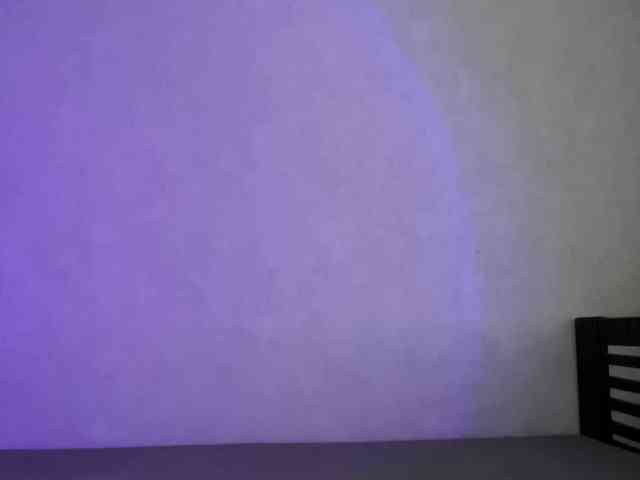 pollysunny webcam