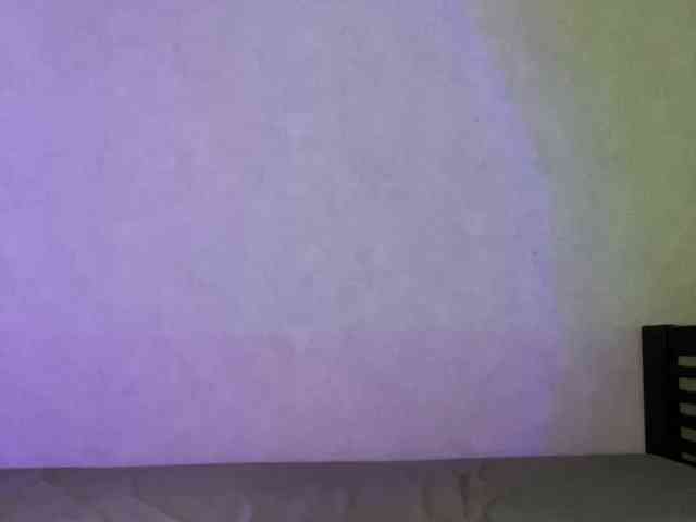 pollysunny webcam