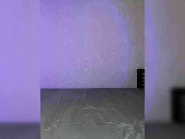 pollysunny webcam