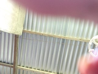 Image capture of candicelovee