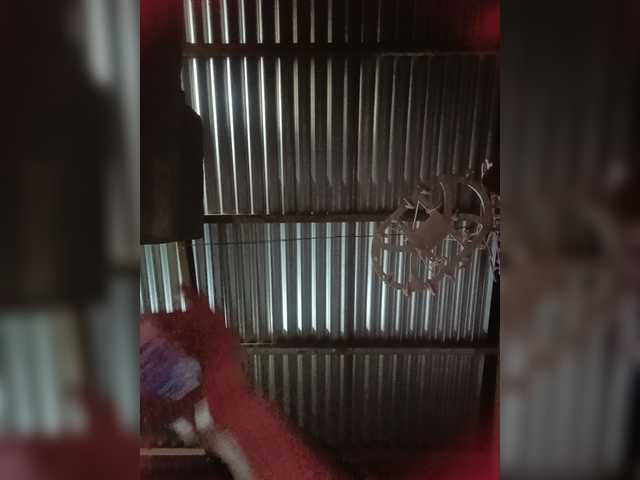 candicelovee live cam preview